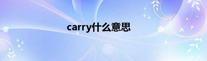 carry什么意思