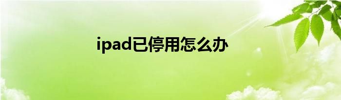 ipad已停用怎么办