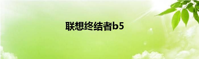 联想终结者b5