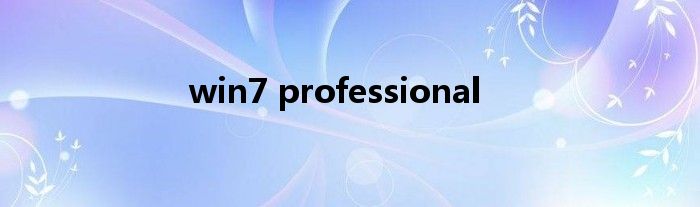 win7 professional