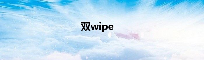 双wipe