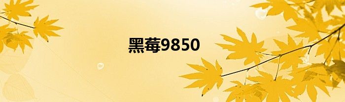 黑莓9850